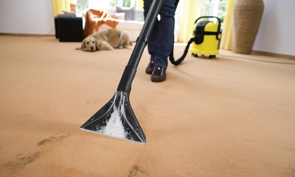 Carpet Steam Cleaning Doreen