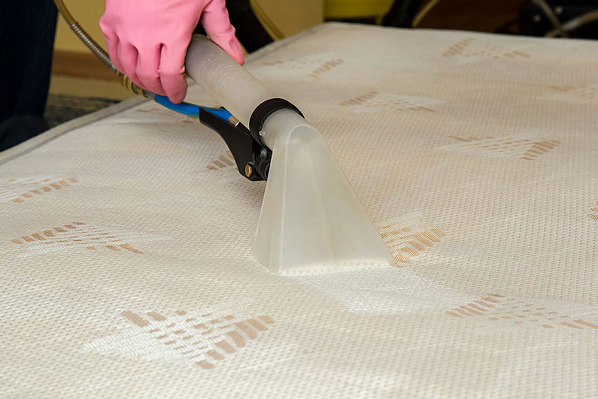 Carpet Steam Cleaning Doreen